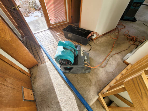 Best Flooded house restoration  in North Shore, CA
