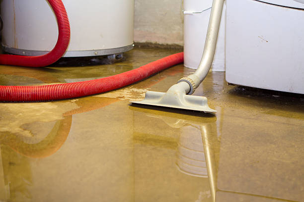 Best 24-hour water damage restoration  in North Shore, CA