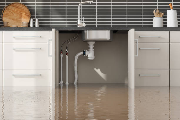 Best Water damage restoration cost  in North Shore, CA