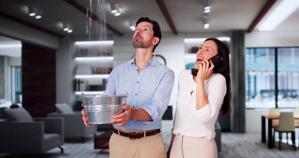 Best Mold removal after water damage  in North Shore, CA